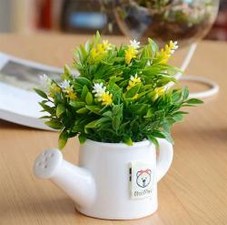 Chọn cây để bàn làm việc giúp tốt cho sức khỏe