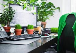 Hướng bố trí bàn làm việc văn phòng phù hợp cho người mệnh Hỏa