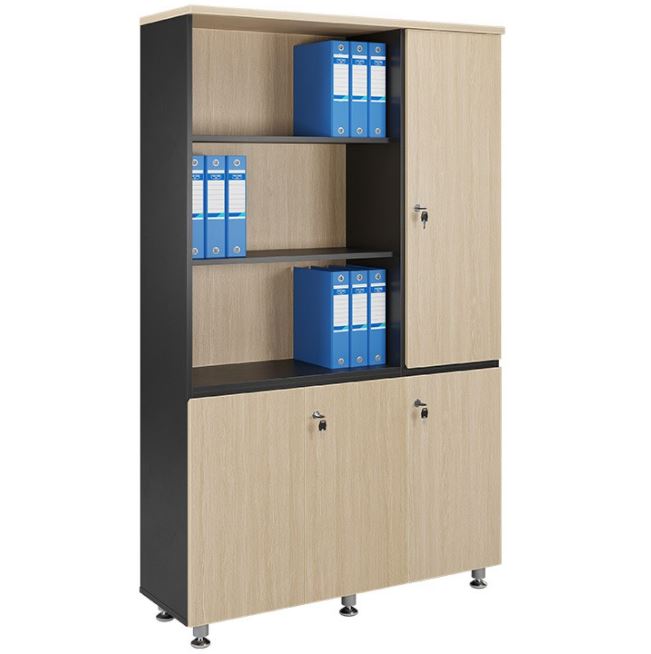 Tủ tài liệu Leader LE1960-3B