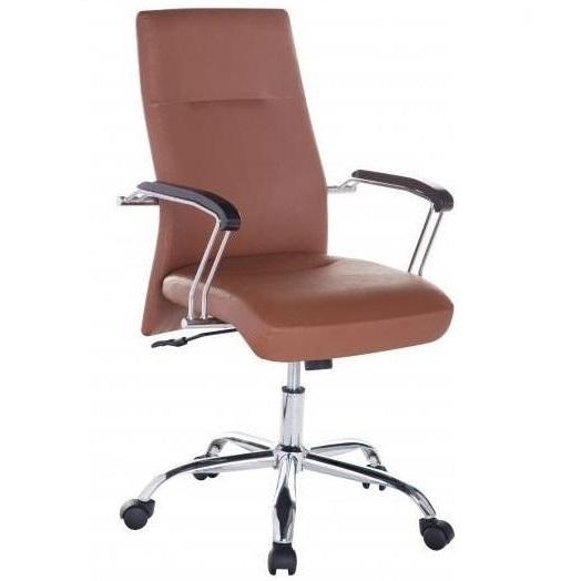 Ghế xoay trưởng phòng chân inox PTT-N10