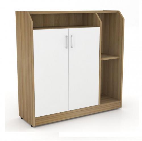 Tủ để giày Hòa Phát TG306