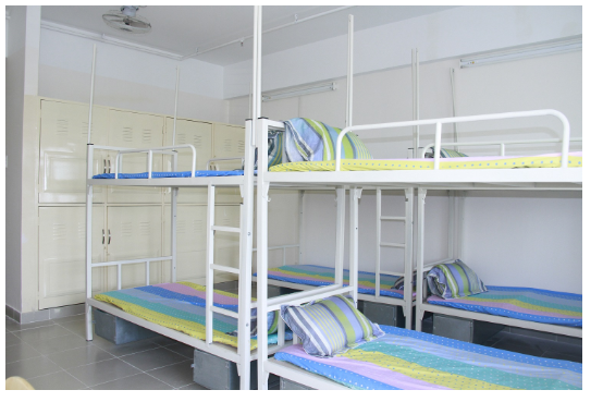 bao-gia-Giuong-noi-tru-hoa-phat2