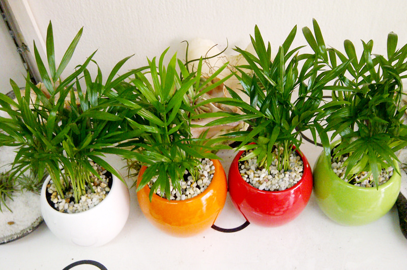 bố trí bàn làm việc mệnh kim