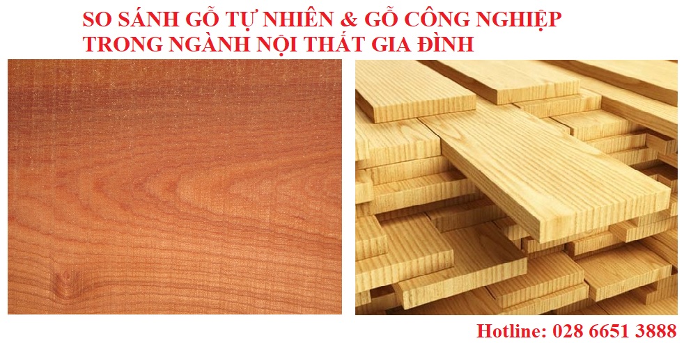 So sánh gỗ tự nhiên và gỗ công nghiệp An Cường trong ngành nội thất