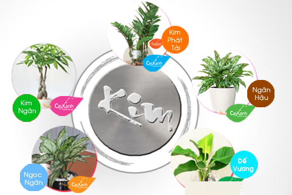 bố trí văn phòng cho người mệnh kim