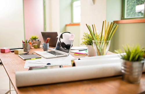 đặt cây xanh trên bàn làm việc